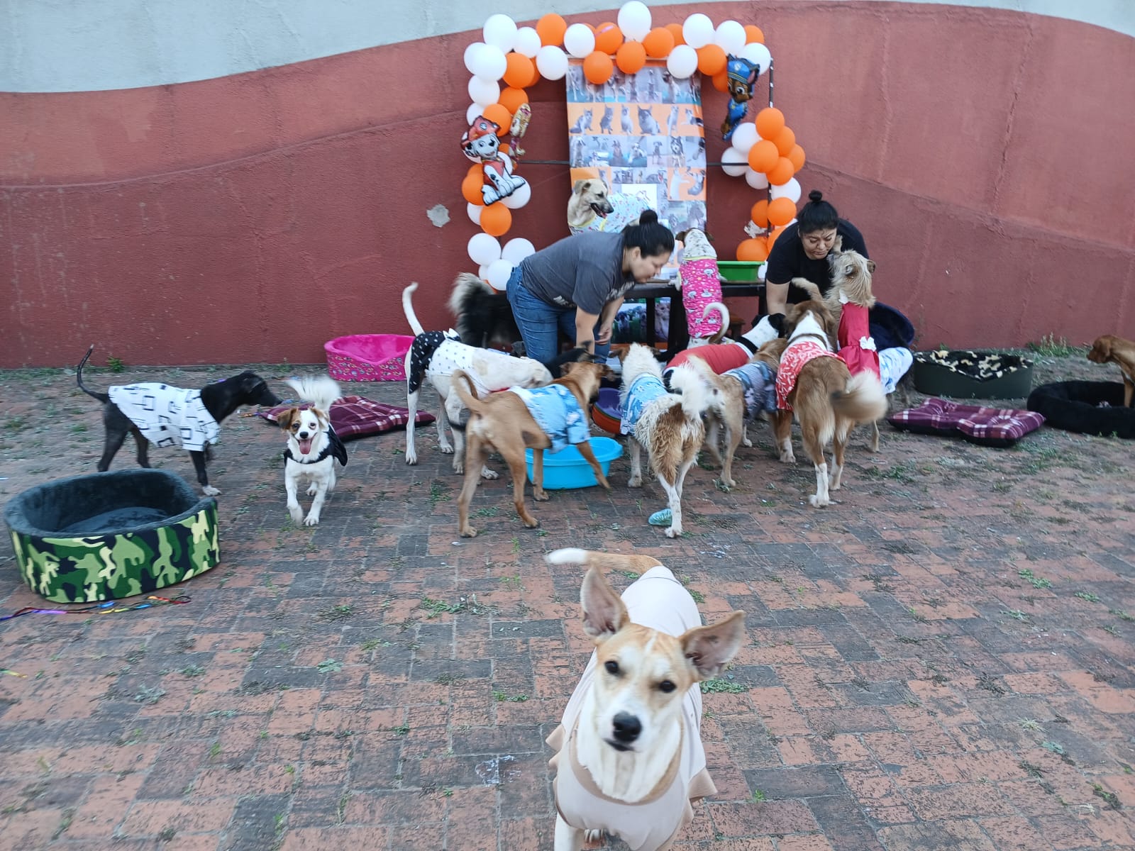 Crowdfunding Bolivia